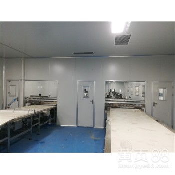 精密凈化車間 食品廠高效生產與現代化網站建設的關鍵